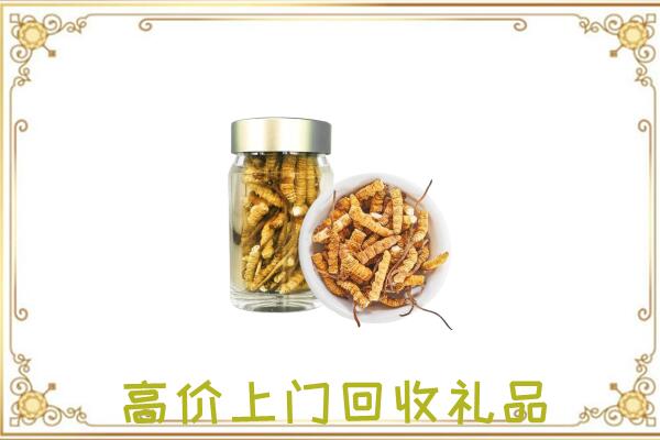 湛河周边回收虫草